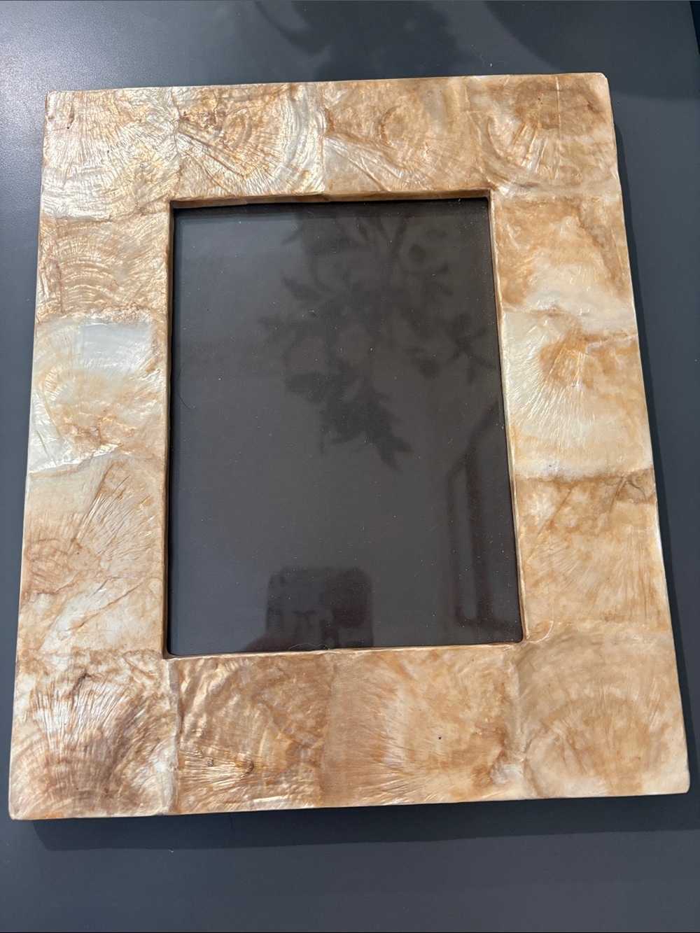 Neutral Shell-Effect Picture Frame - Natural Beige